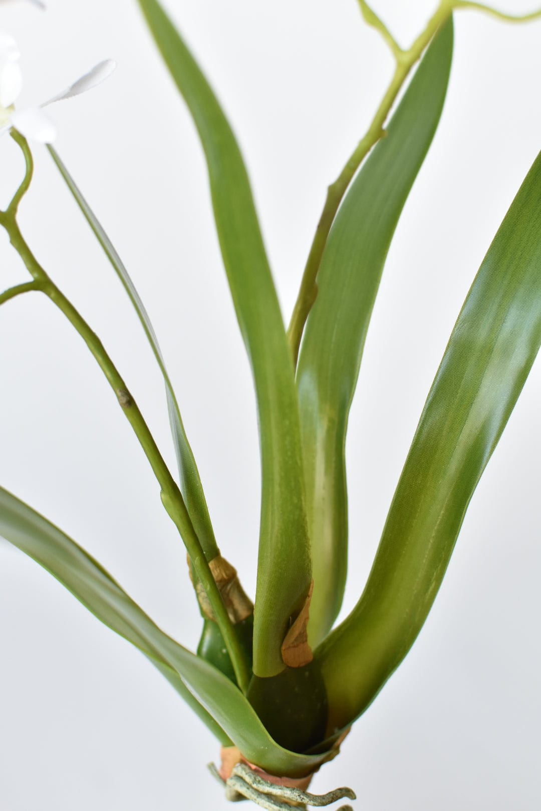 House of JSD 16" Faux Mini Orchid Stem with Leaves & Roots