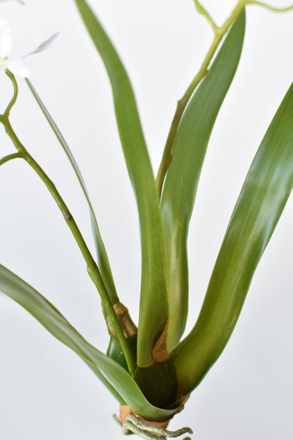 House of JSD 16" Faux Mini Orchid Stem with Leaves & Roots
