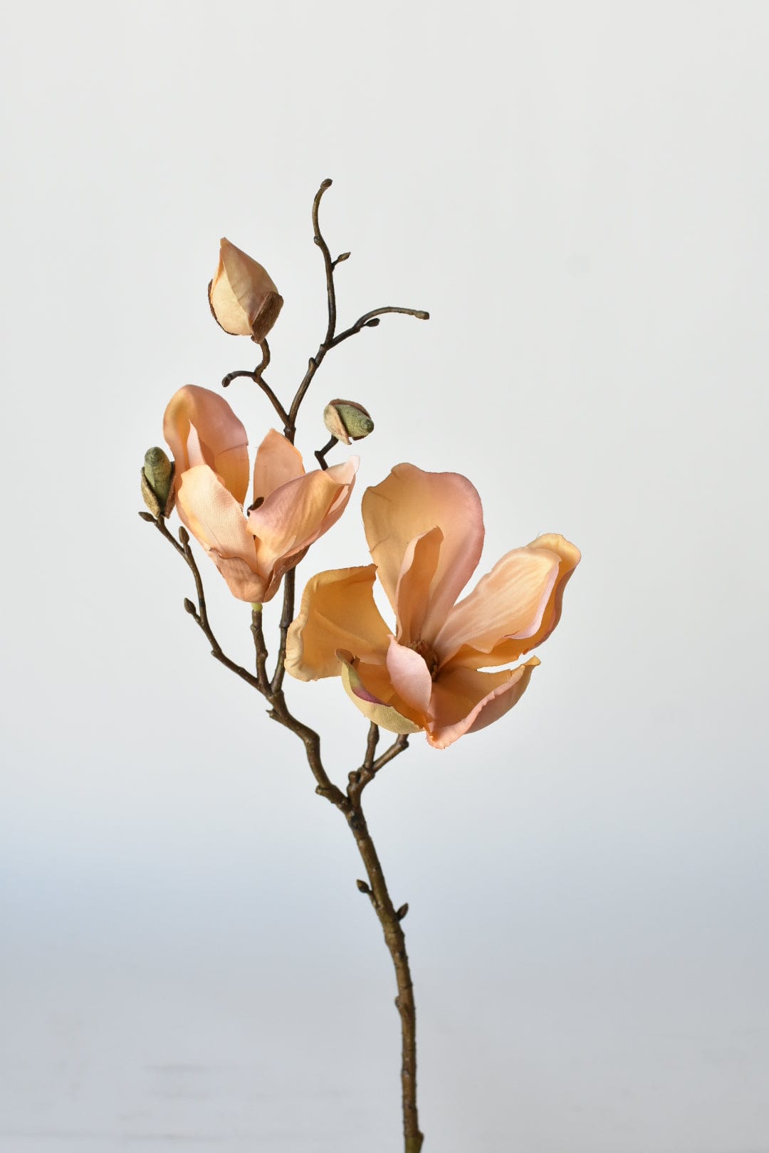 19" FauxLight Orange/Pink Magnolia Stem