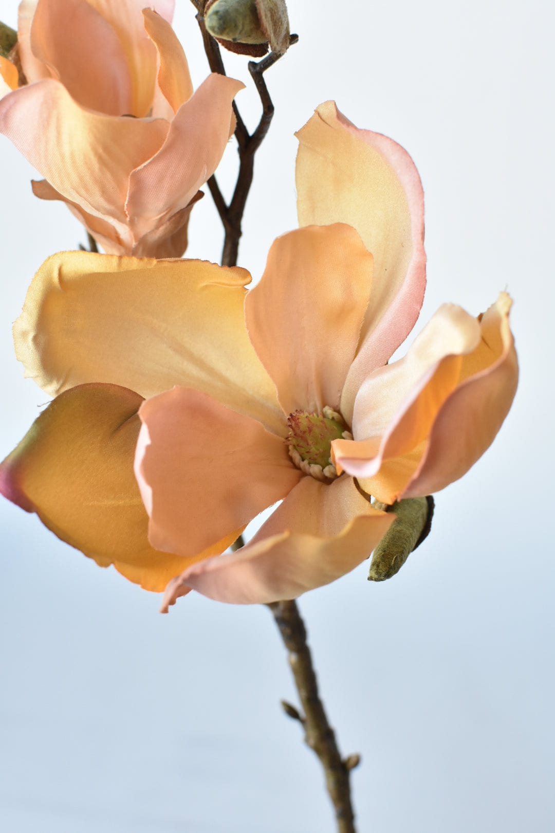 19" FauxLight Orange/Pink Magnolia Stem