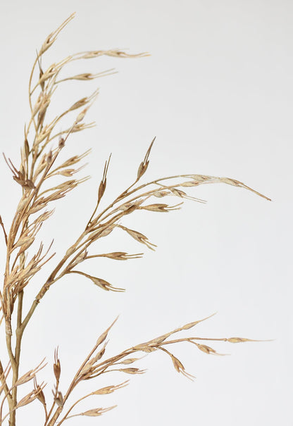 34" Faux Beige Wild Wheat Stem