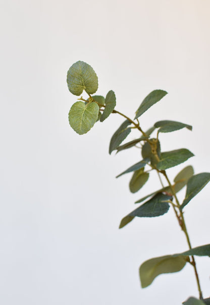 40" Faux Eucalyptus Stem