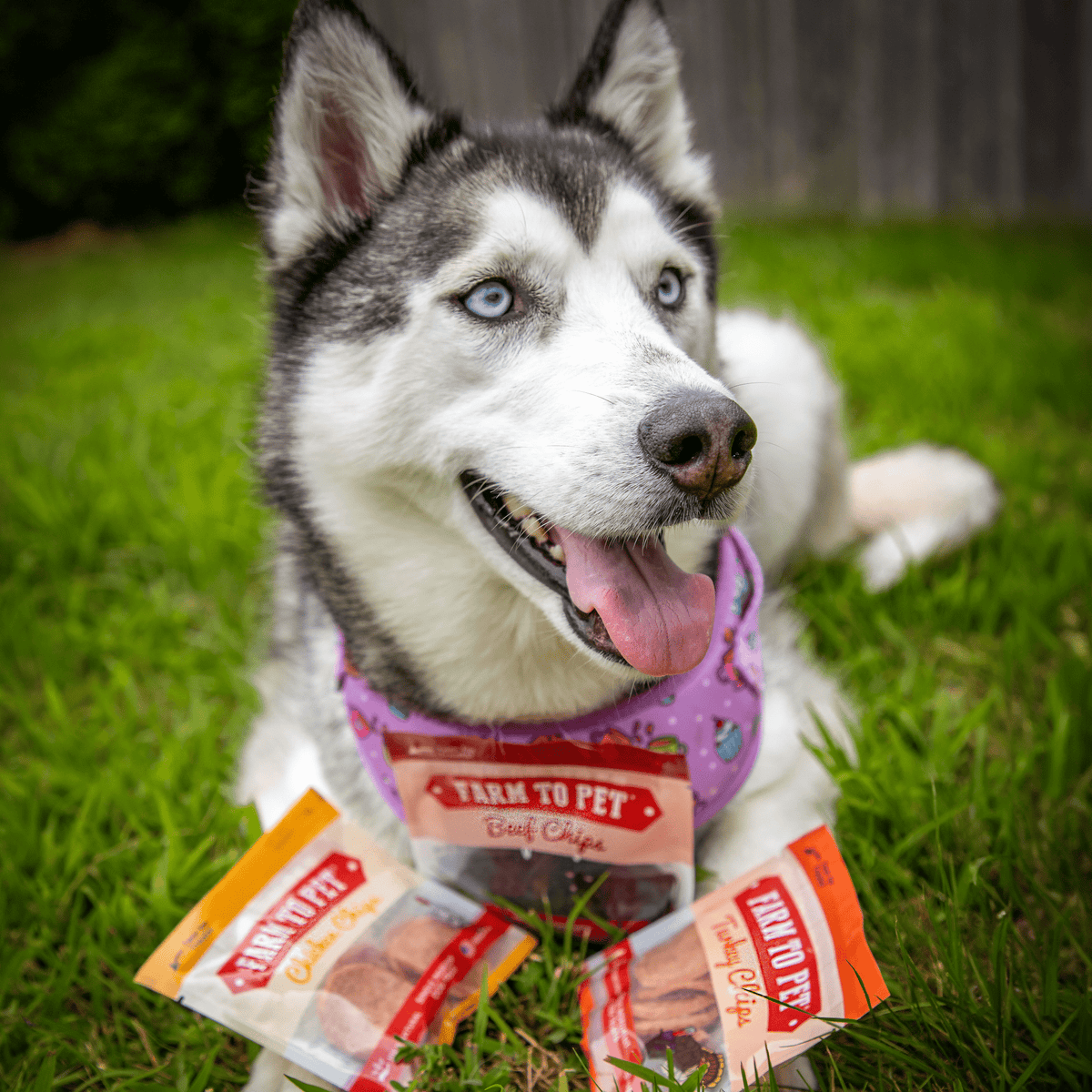 Farm To Pet Single-Ingredient Dog Treats Snack Pack Sampler