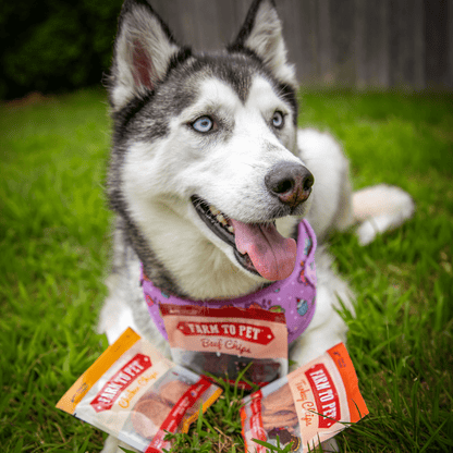 Farm To Pet Single-Ingredient Dog Treats Snack Pack Sampler