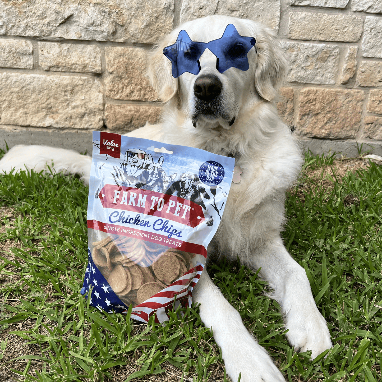 Farm To Pet Single-Ingredient Americana Chicken Chip Dog Treats
