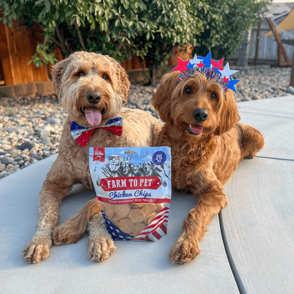 Farm To Pet Single-Ingredient Americana Chicken Chip Dog Treats