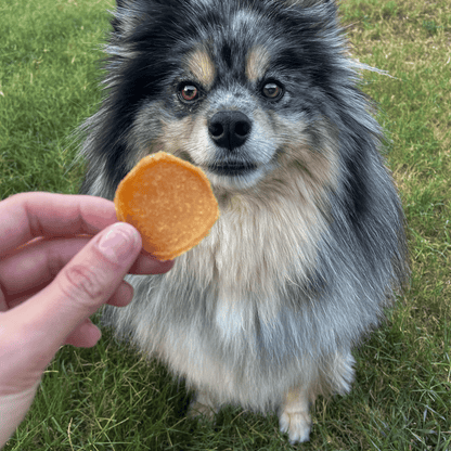 Farm To Pet Hometown Celebration Chicago Chicken Chips Dog Treats
