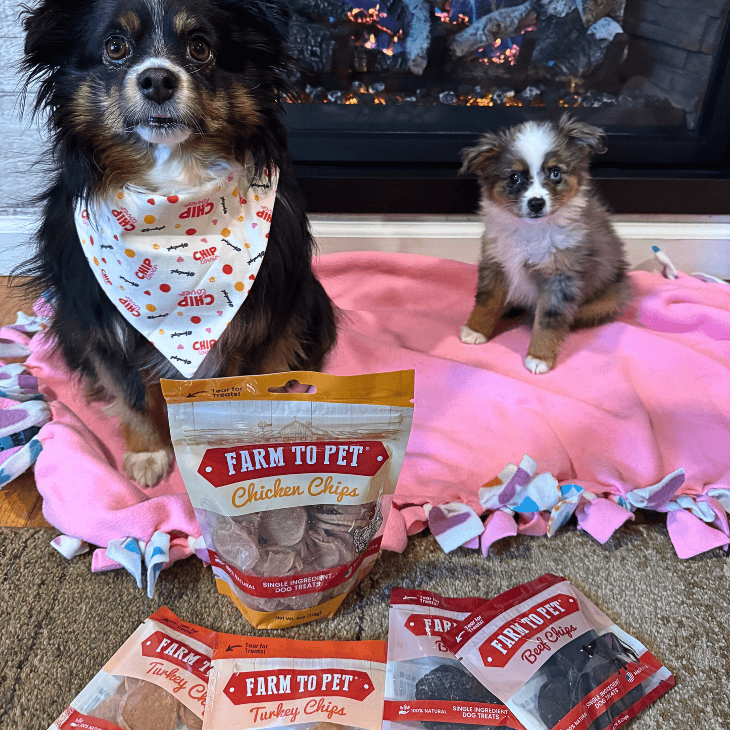 Farm To Pet Puppy Packs 'n Snacks Dog Treat Starter Pack