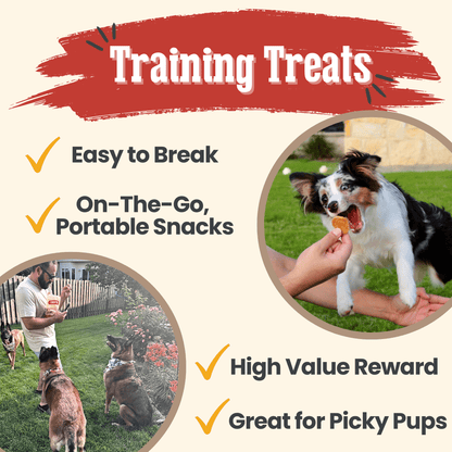 Farm To Pet All-Natural Single-Ingredient Chicken Chips Dog Treats