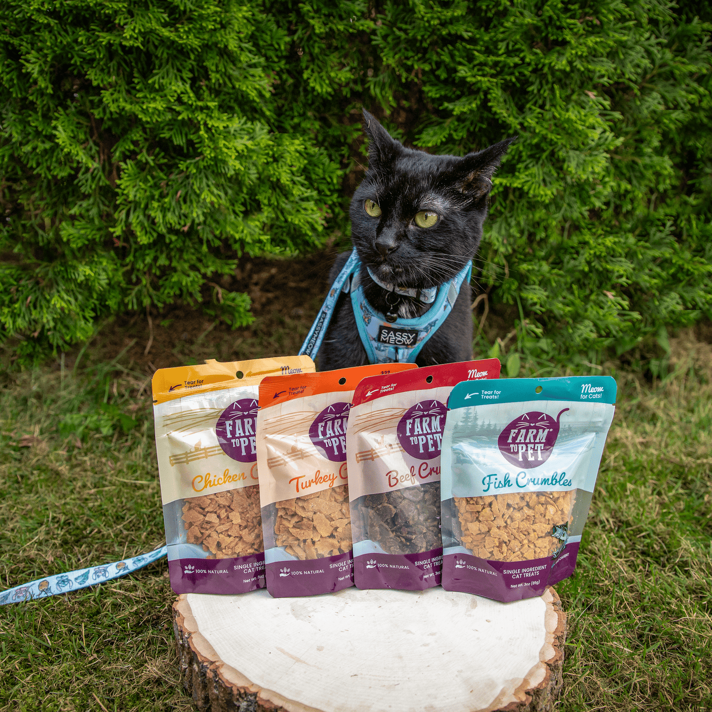 Farm To Pet All-Natural Fish Crumbles Cat Treats
