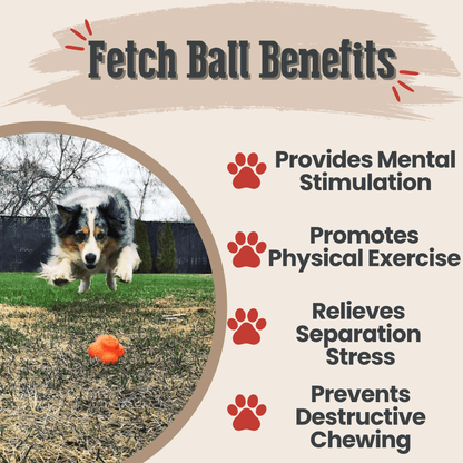 Farm To Pet Choice of Dog Ball