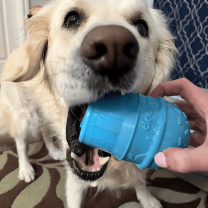 Farm To Pet Choice of Dog Treat Dispenser