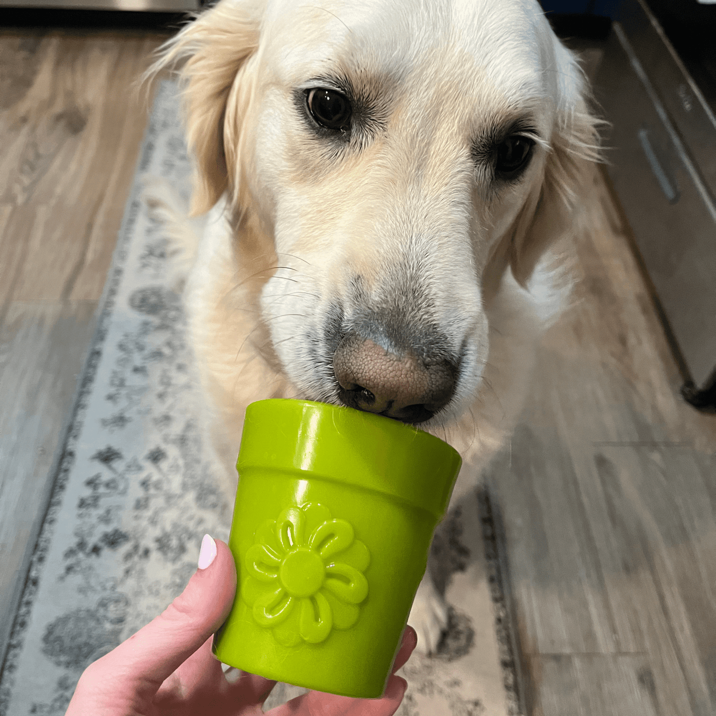 Farm To Pet Choice of Dog Treat Dispenser