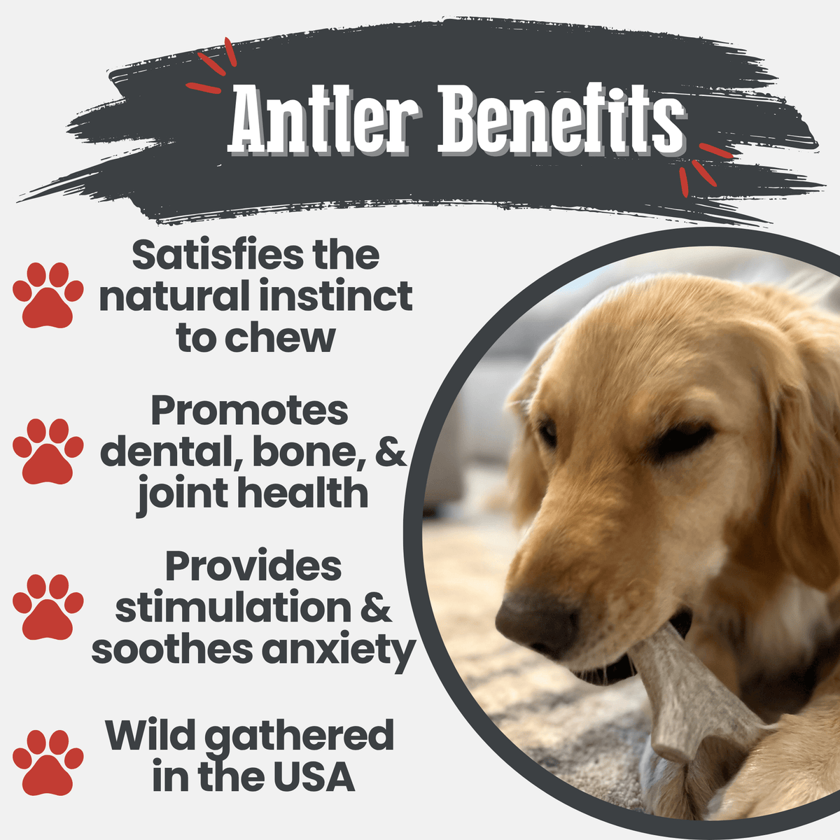 Farm To Pet Choice of Organic Deer Antler Dog Chew