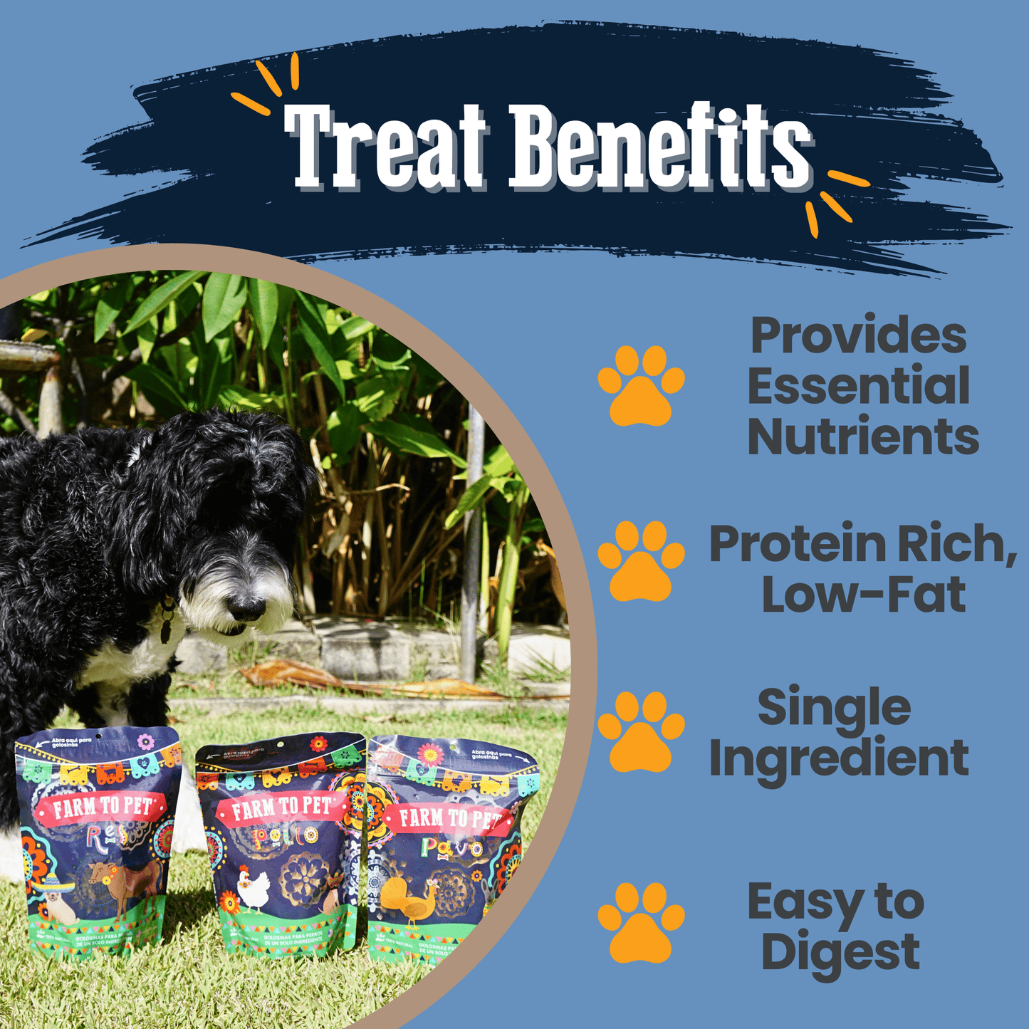 Farm To Table Premios Para Perros Fiesta Dog Treat Variety Bundle
