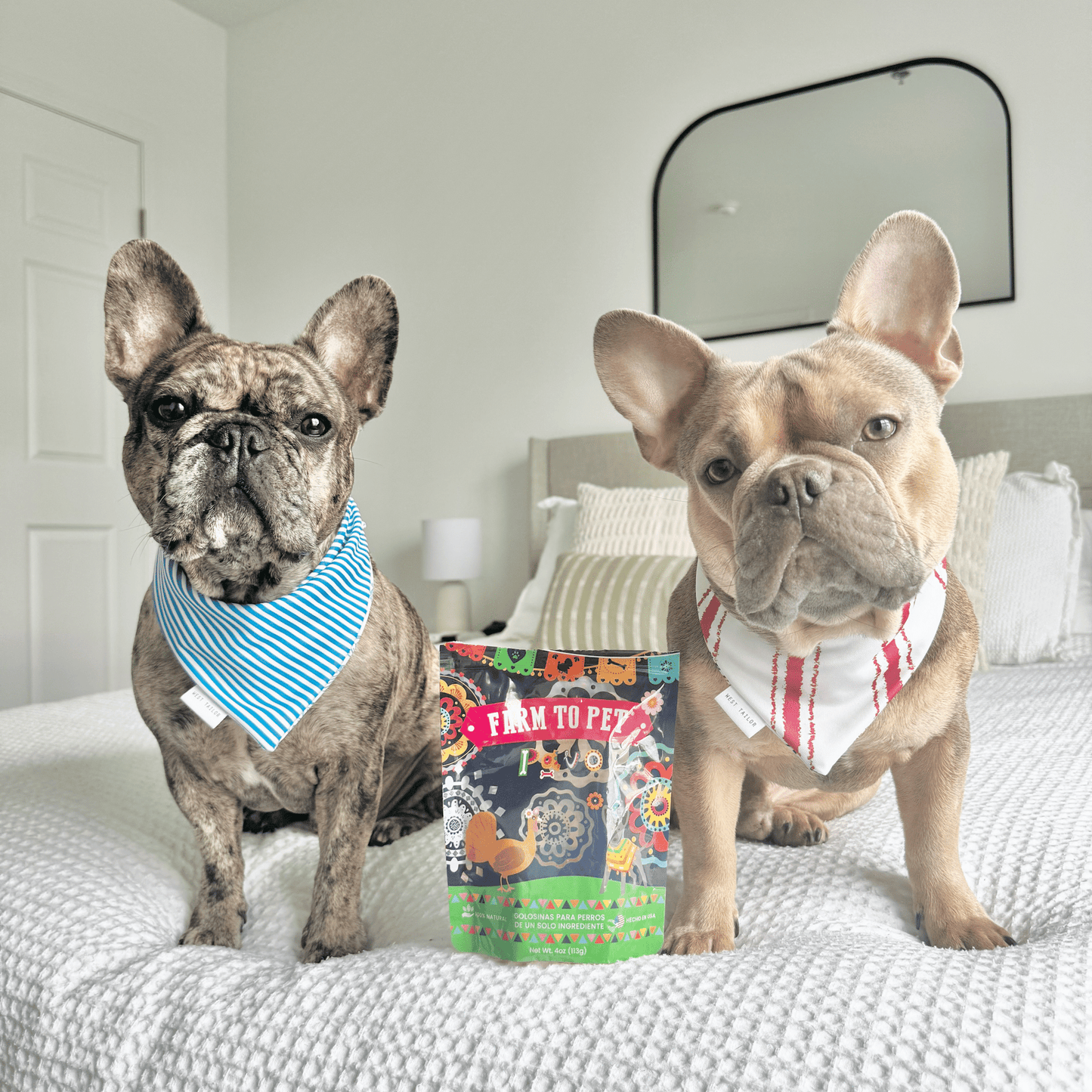 Farm To Table Premios Para Perros Fiesta Dog Treat Variety Bundle