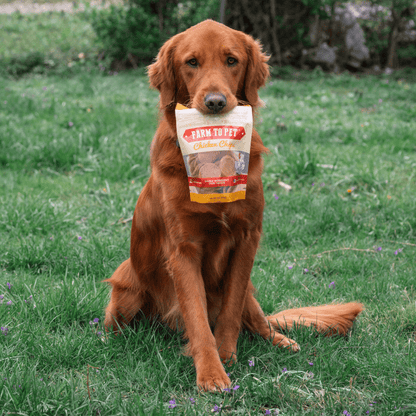 Farm To Pet All-Natural Single-Ingredient Chicken Chips Dog Treats