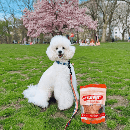Farm To Pet All-Natural Single-Ingredient Turkey Chips Dog Treats