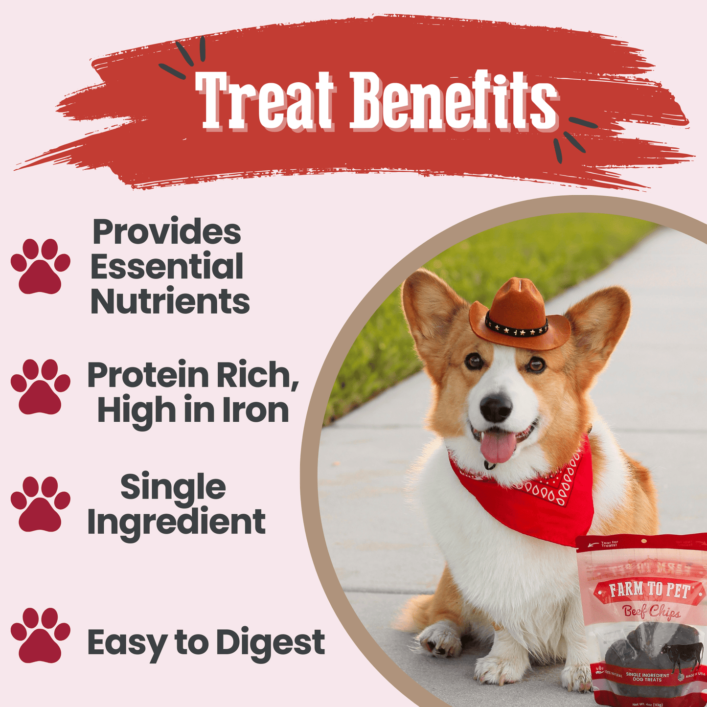 Farm To Pet Single-Ingredient Beef Chips Dog Treats