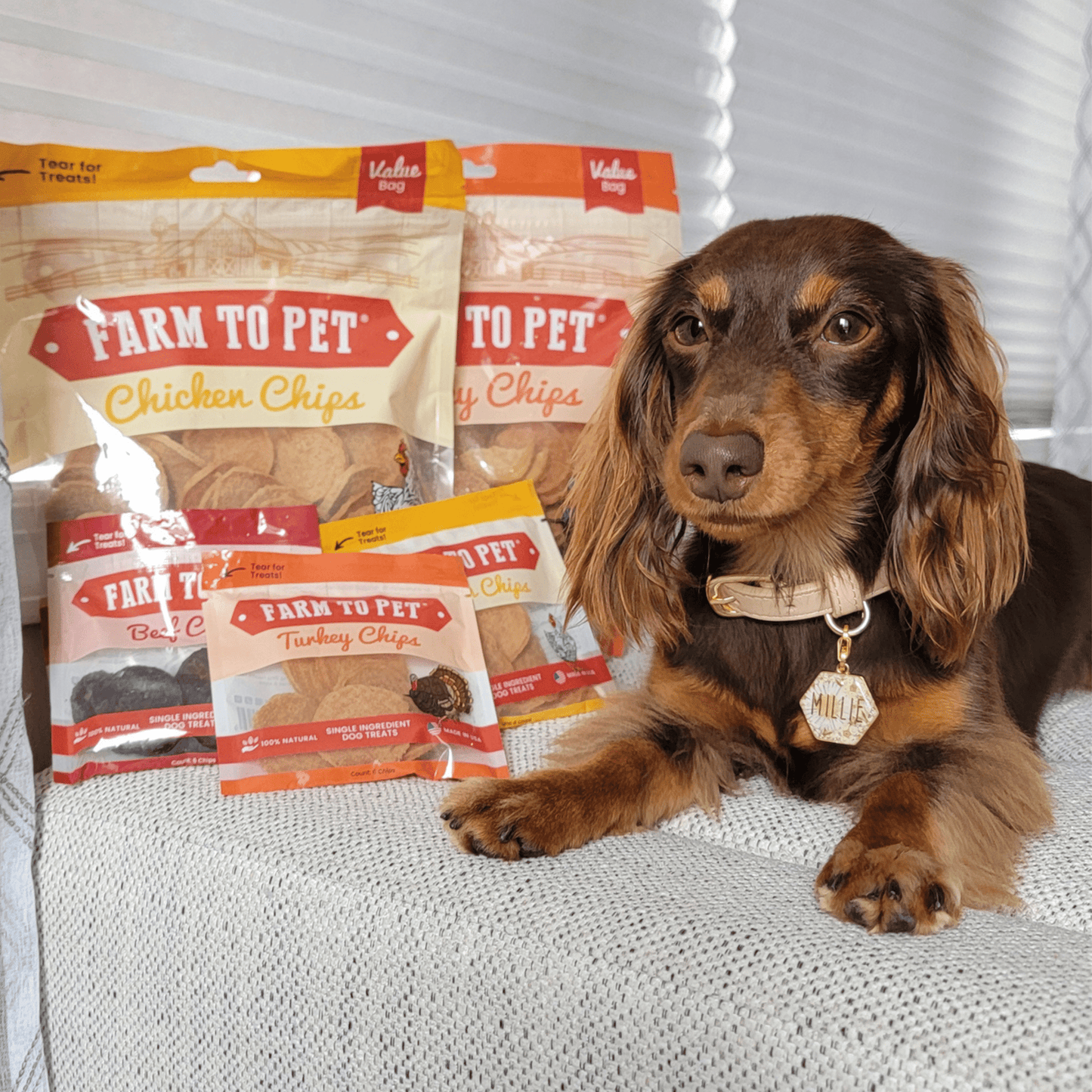 Farm To Pet Single-Ingredient Turkey & Chicken Chip Dog Treat Duo