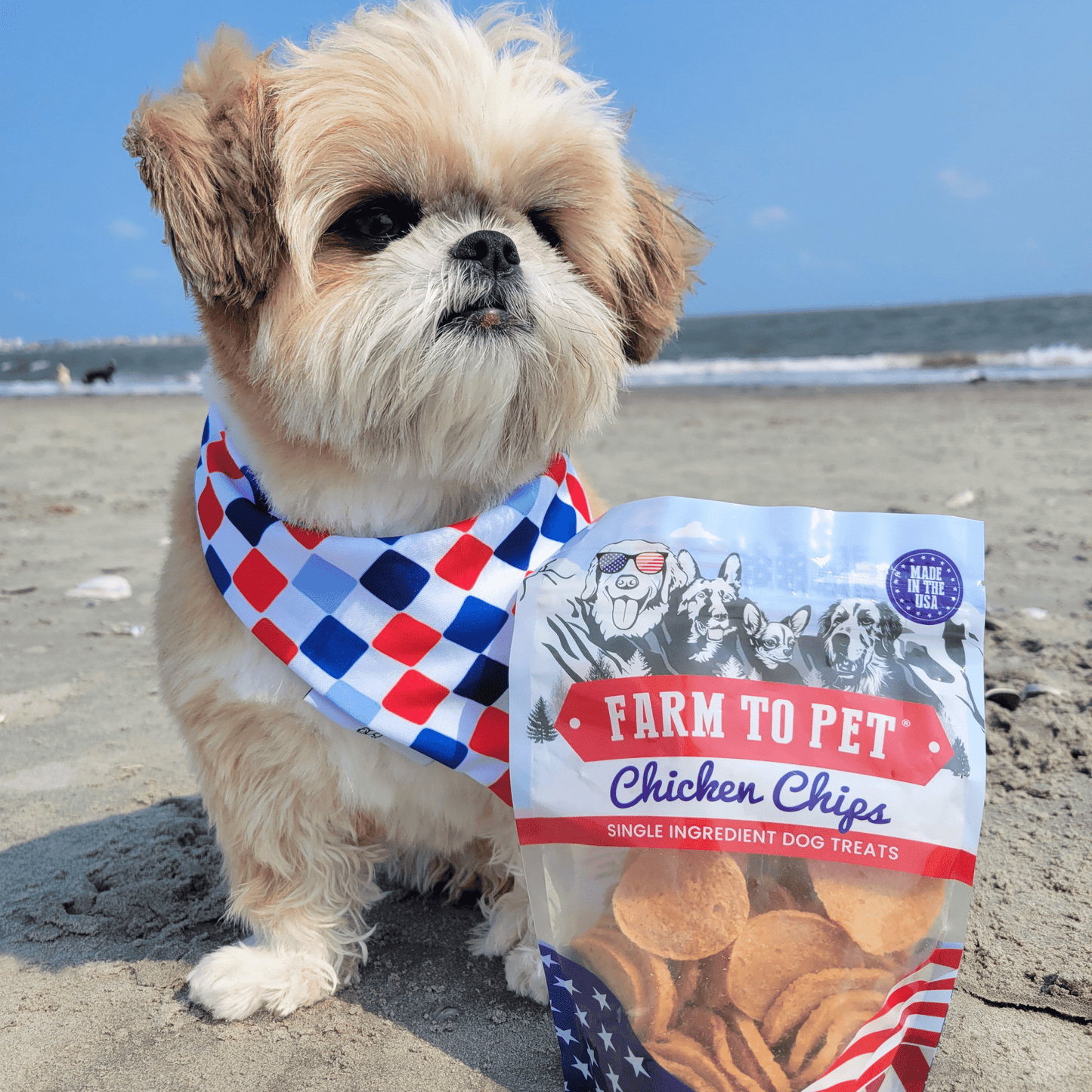 Farm To Pet Single-Ingredient Americana Chicken Chip Dog Treats