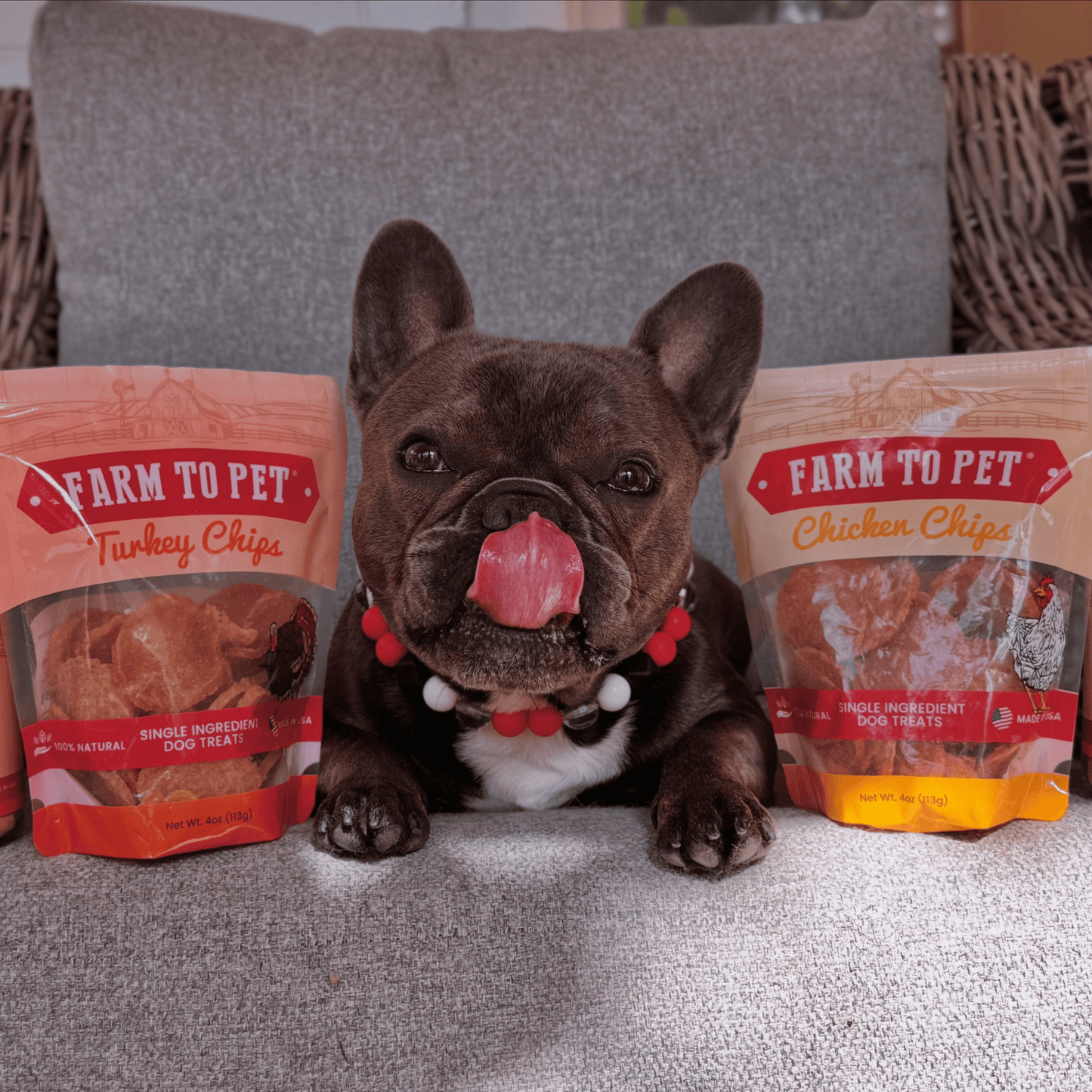 Farm To Pet Single-Ingredient Turkey & Chicken Chip Dog Treat Duo