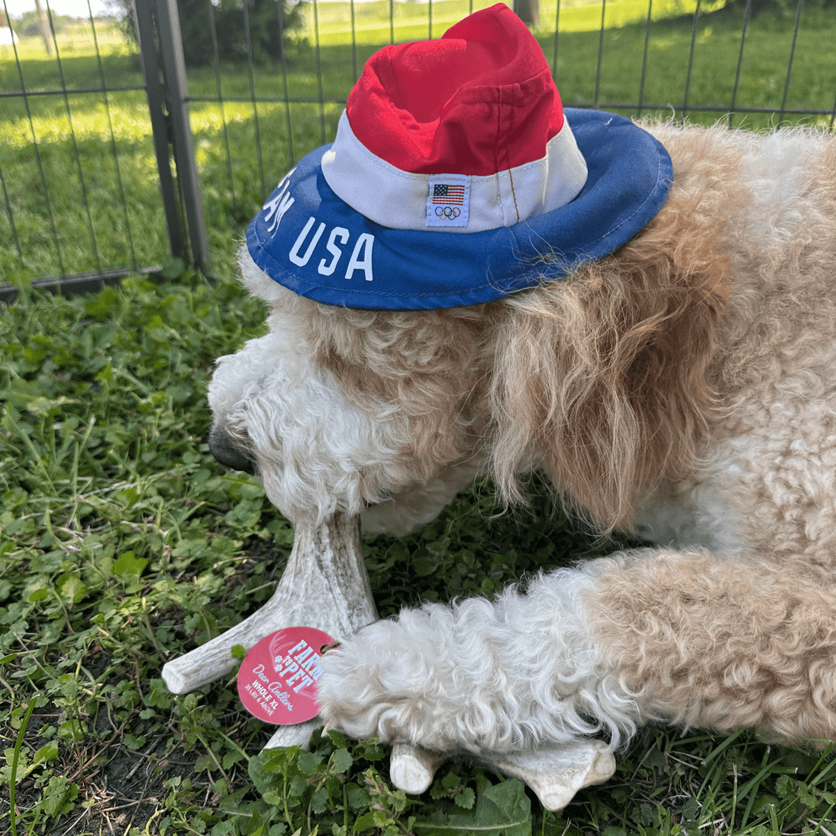 Farm To Pet Choice of Organic Deer Antler Dog Chew