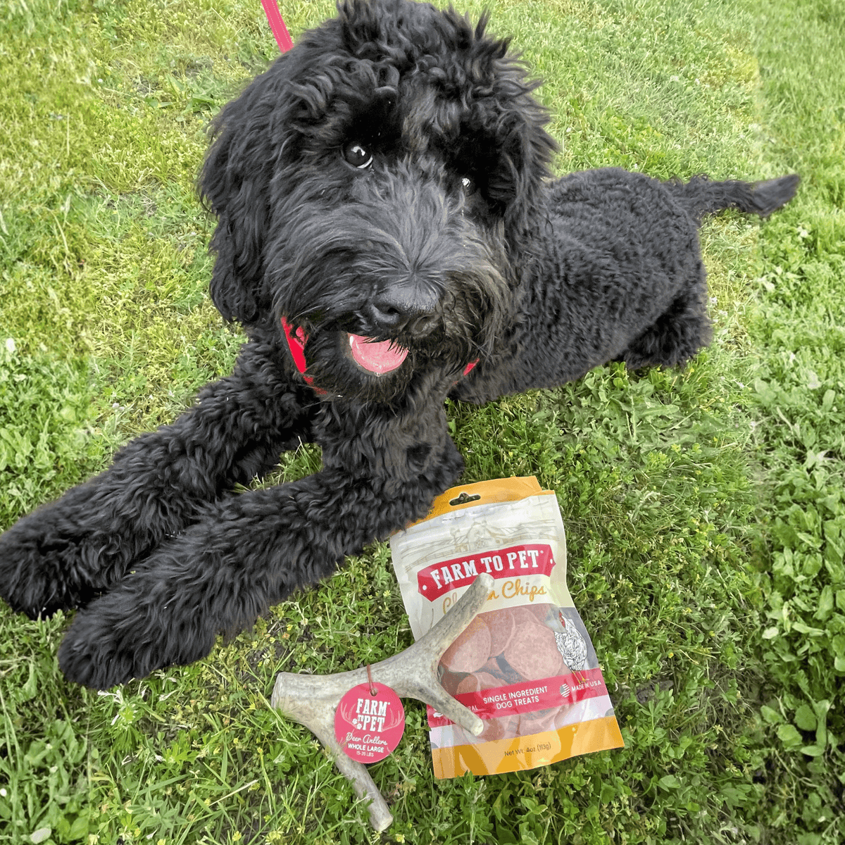 Farm To Pet Choice of Organic Deer Antler Dog Chew