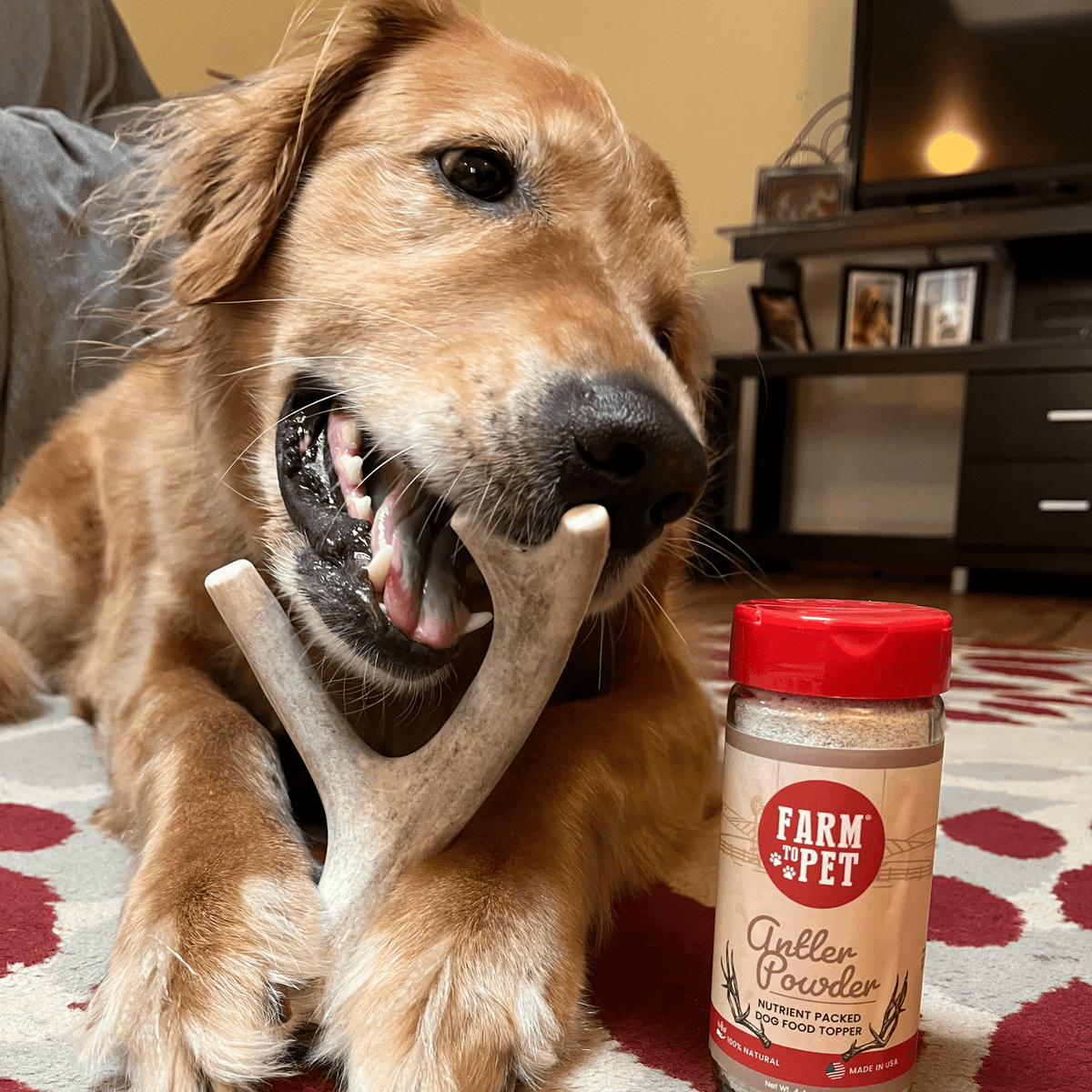 Farm To Pet Choice of Organic Deer Antler Dog Chew