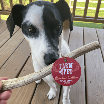 Farm To Pet Choice of Organic Reindeer Antler Dog Chews