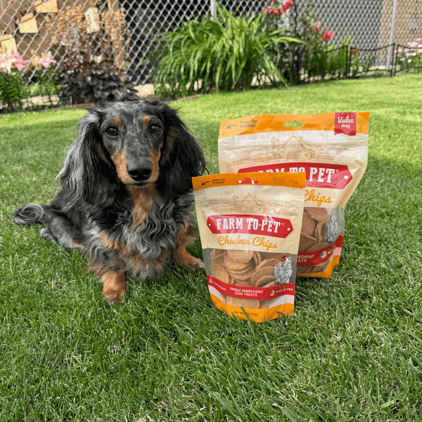 Farm To Pet All-Natural Single-Ingredient Chicken Chips Dog Treats