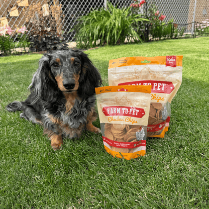 Farm To Pet All-Natural Single-Ingredient Chicken Chips Dog Treats