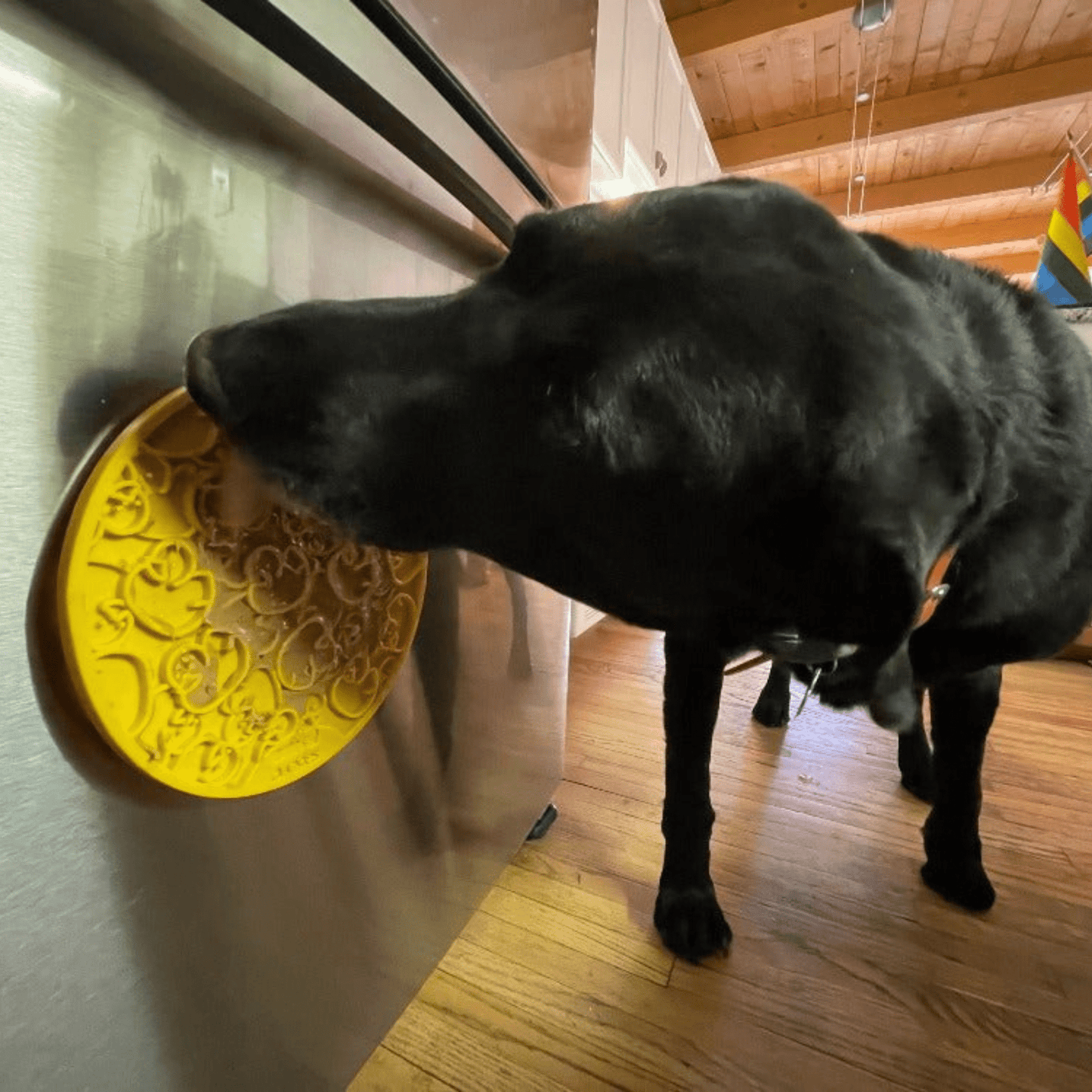 Farm To Pet Choice of Dog Lick Mat with Suction Cups