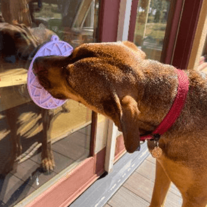 Farm To Pet Choice of Dog Lick Mat with Suction Cups
