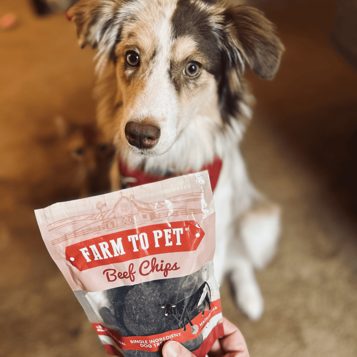 Farm To Pet Puppy Packs 'n Snacks Dog Treat Starter Pack