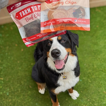 Farm To Pet Puppy Packs 'n Snacks Dog Treat Starter Pack