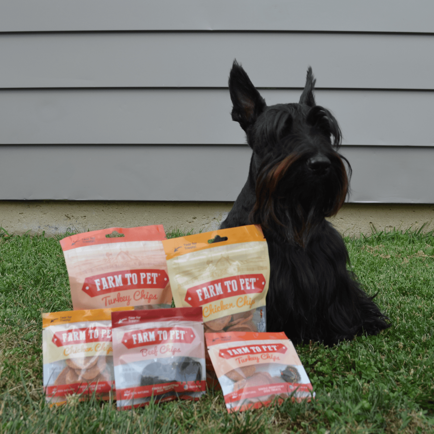 Farm To Pet Puppy Packs 'n Snacks Dog Treat Starter Pack