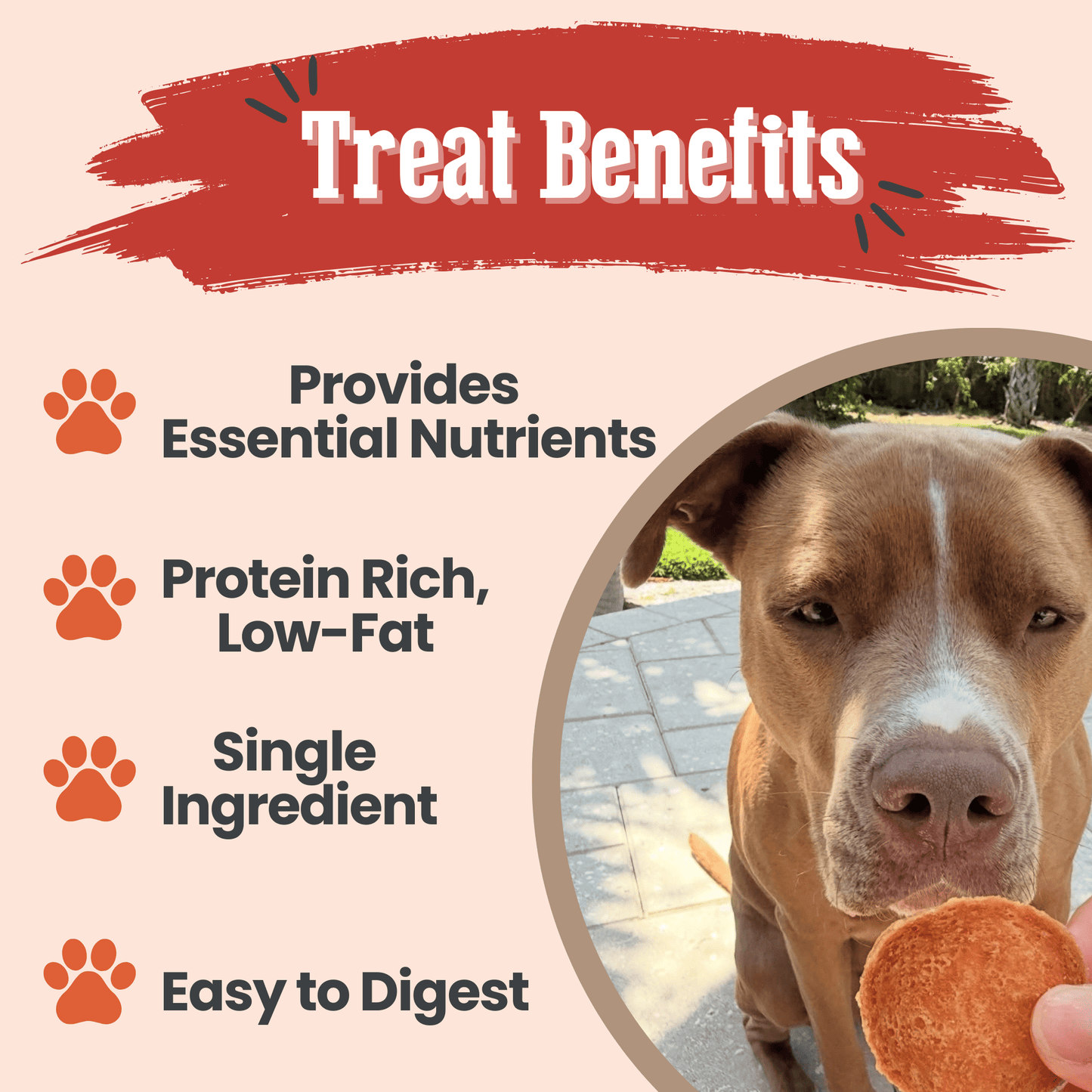 Farm To Pet All-Natural Single-Ingredient Turkey Chips Dog Treats