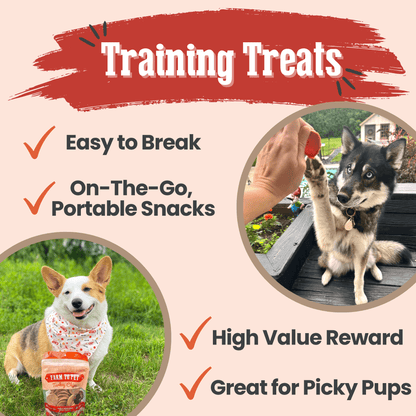 Farm To Pet All-Natural Single-Ingredient Turkey Chips Dog Treats