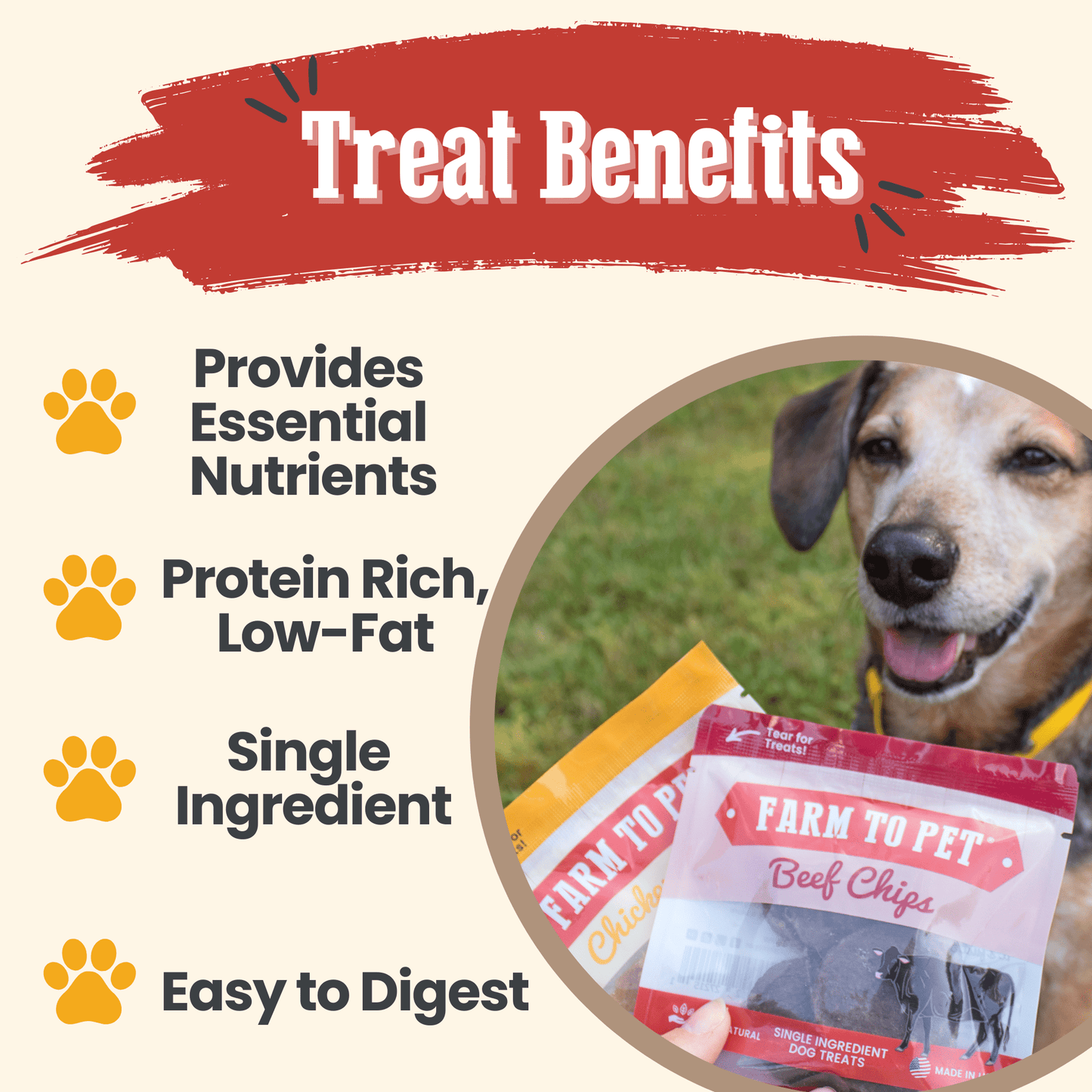 Farm To Pet Puppy Packs 'n Snacks Dog Treat Starter Pack