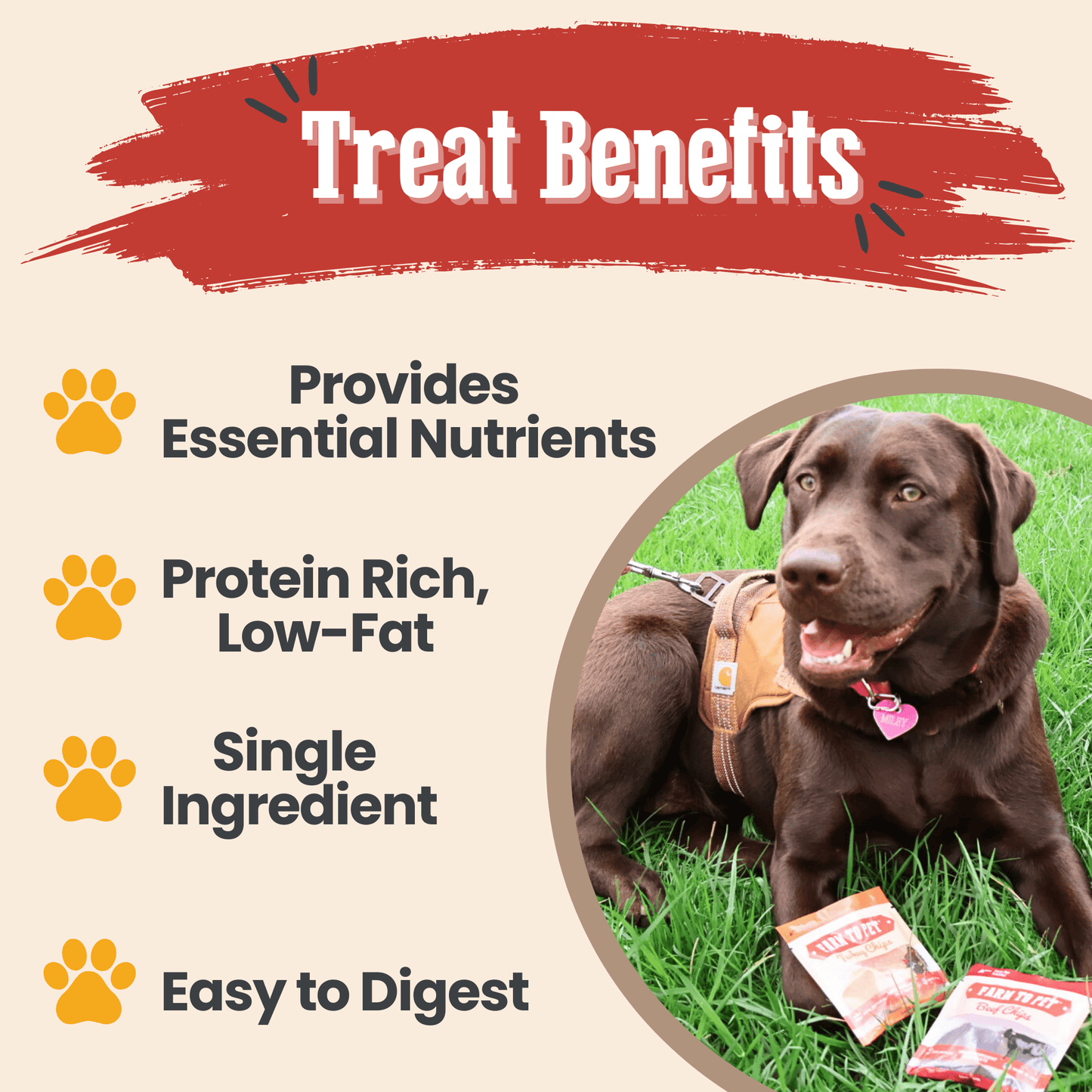 Farm To Pet Single-Ingredient Dog Treats Snack Pack Sampler