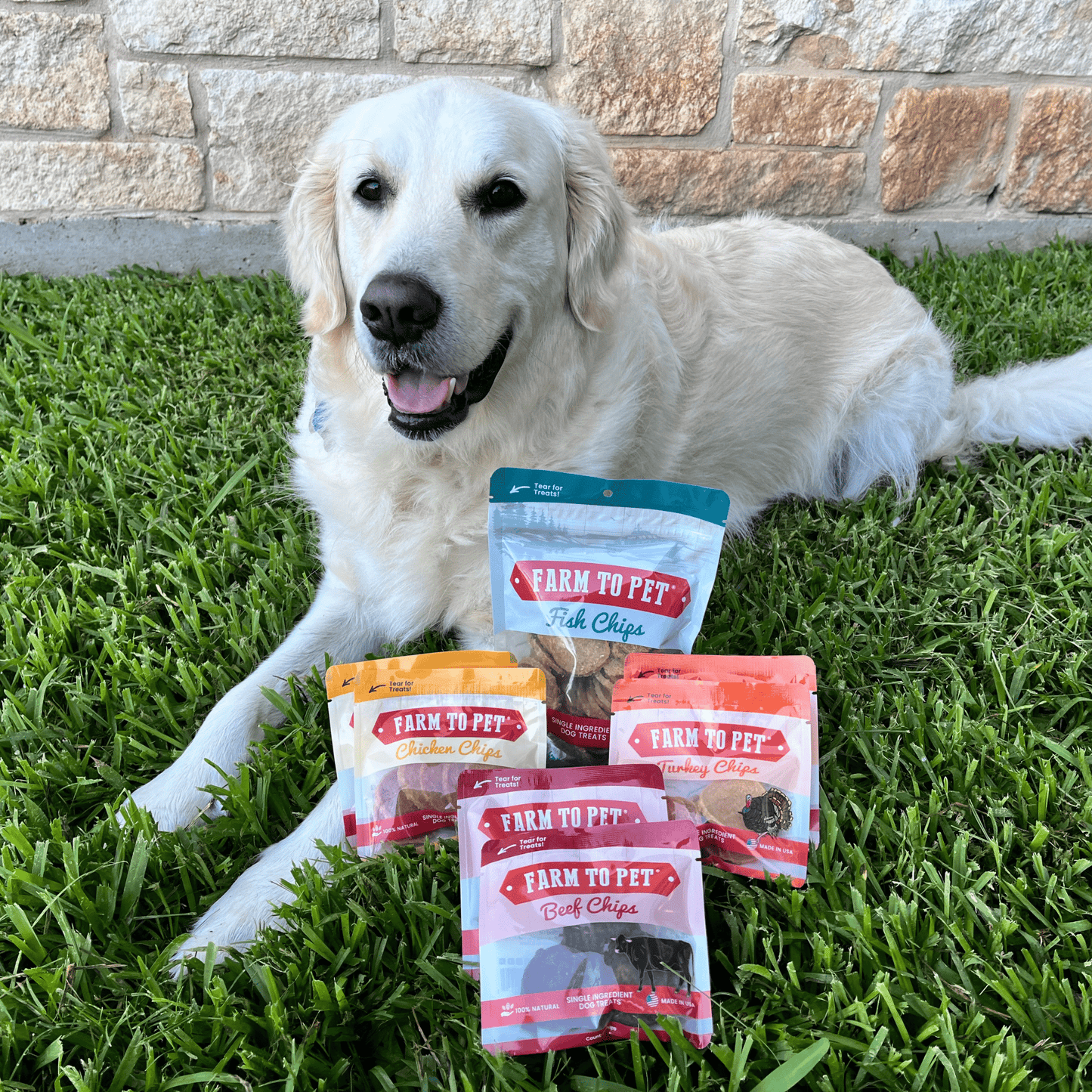 Farm To Pet Puppy Packs 'n Snacks Dog Treat Starter Pack