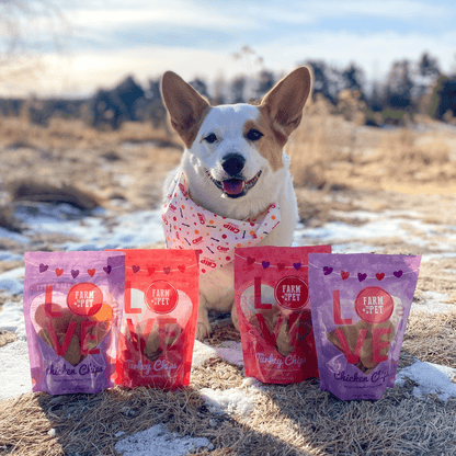 Farm To Pet Valentine's Day Poultry Chip Variety Pack Dog Treats