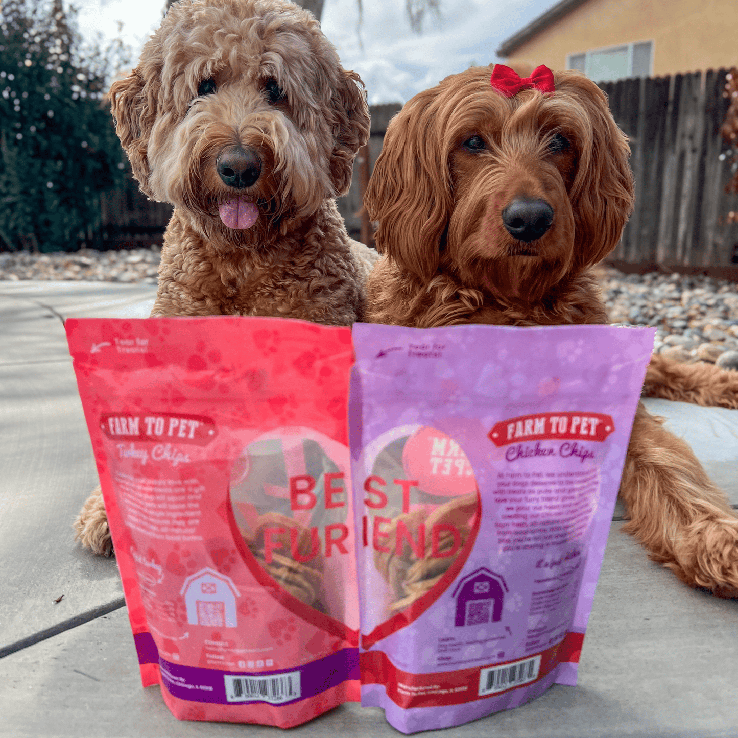 Farm To Pet Valentine's Day Poultry Chip Variety Pack Dog Treats
