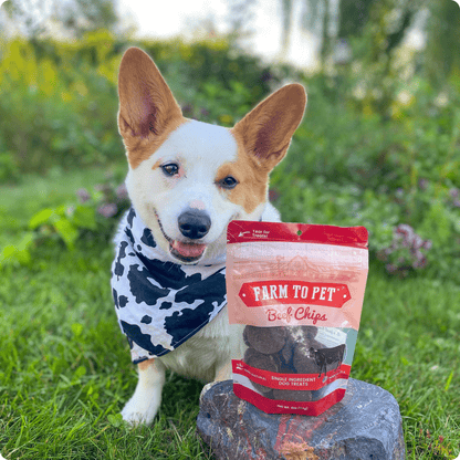 Farm To Pet Single-Ingredient Beef Chips Dog Treats