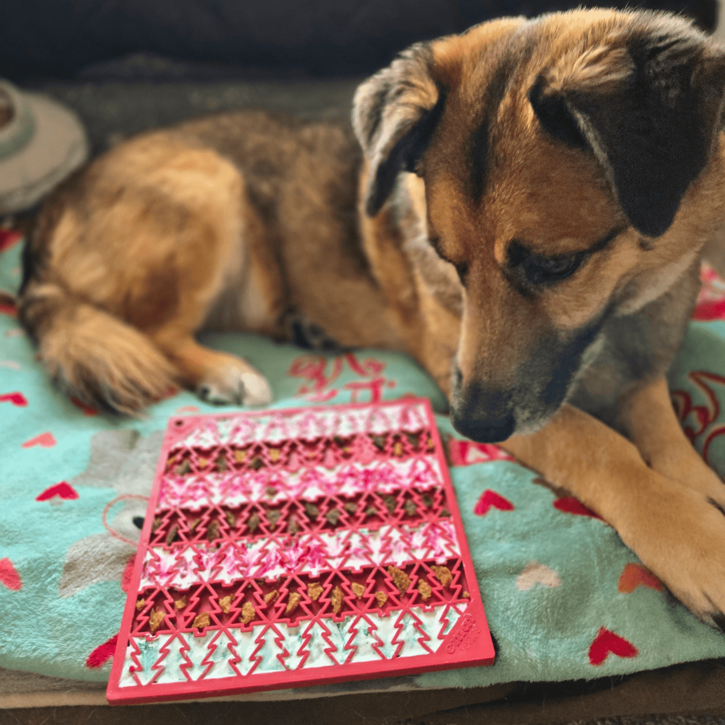 Farm To Pet Choice of Dog Lick Mats