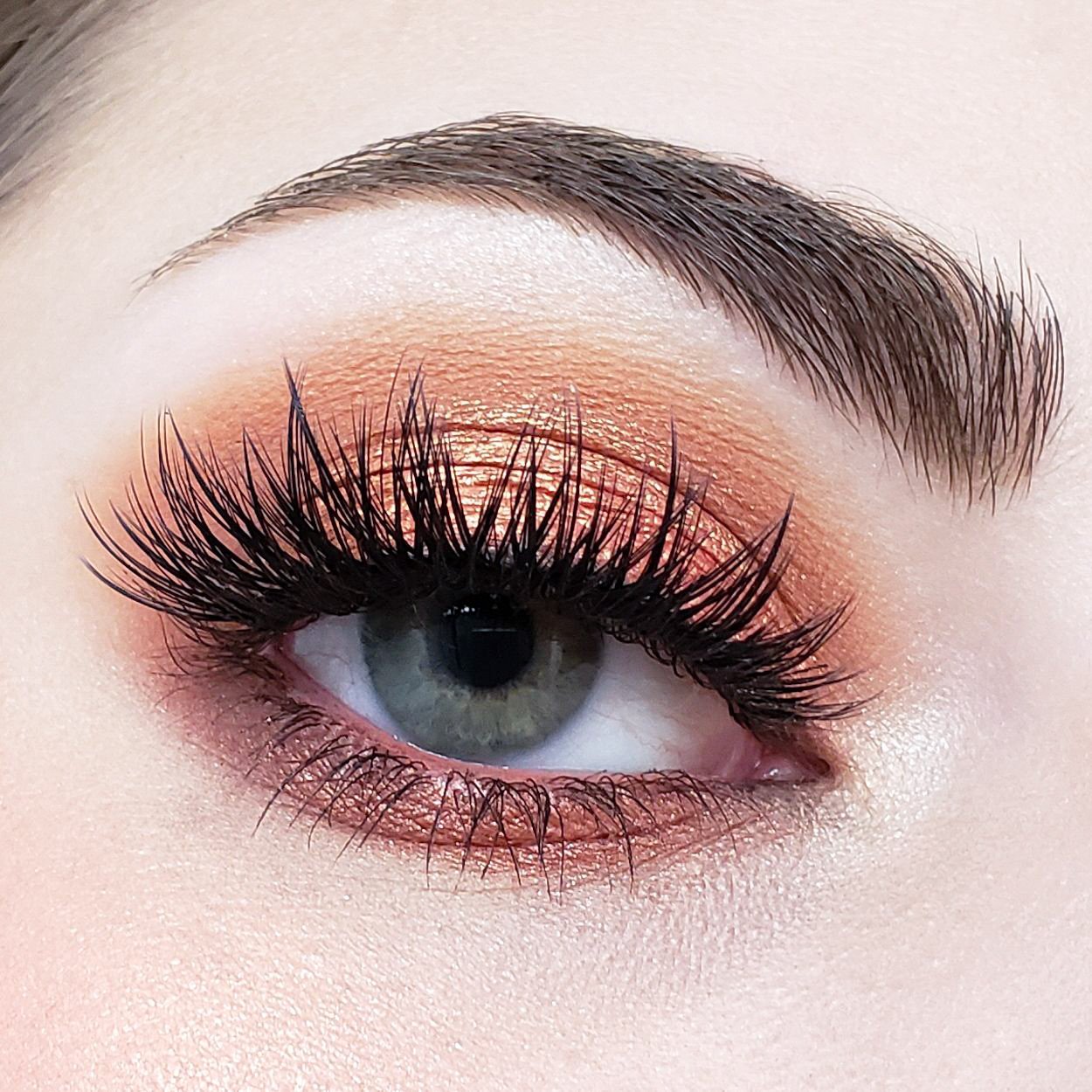 Crown Brush Pro 10 Color Fuego Eyeshadow Palette