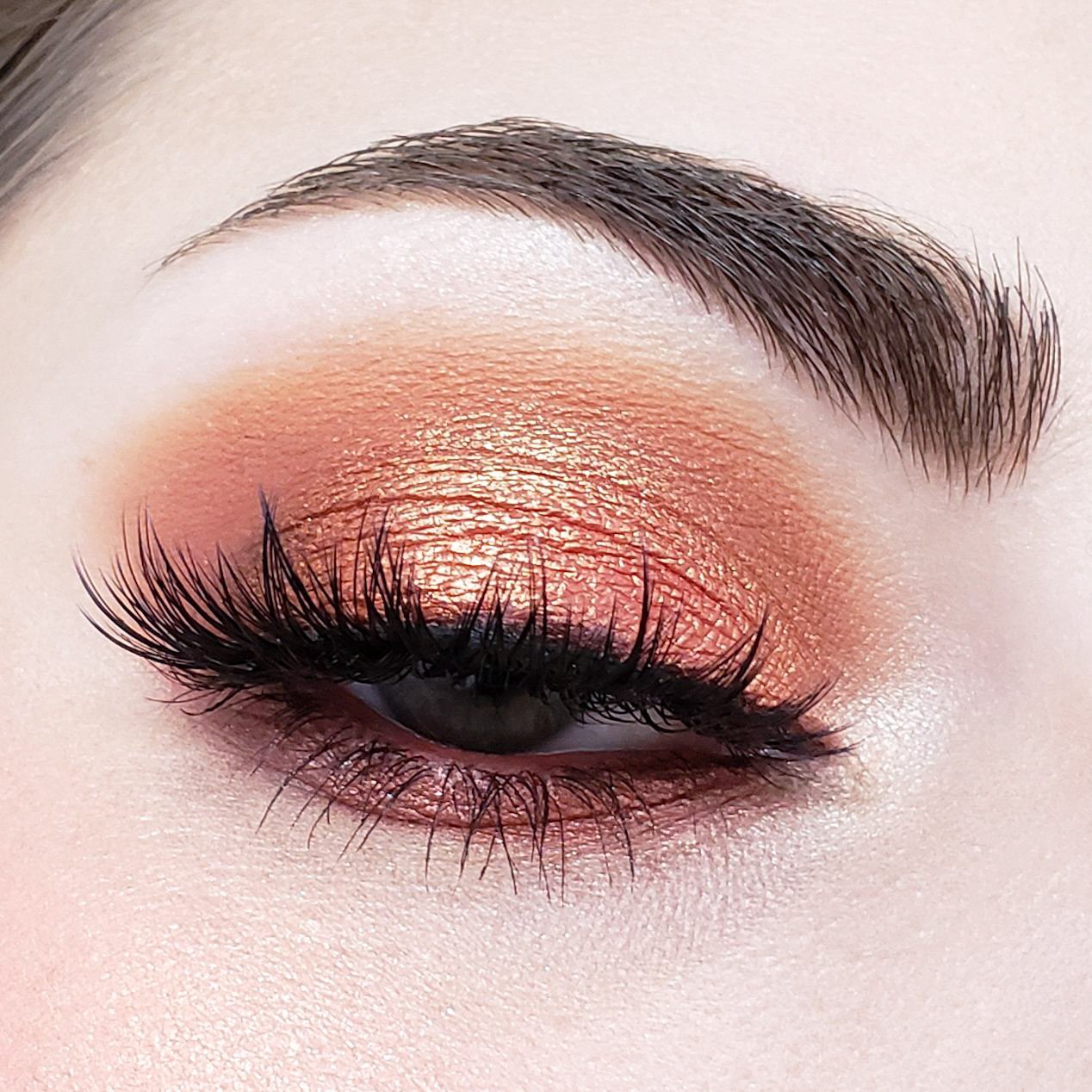 Crown Brush Pro 10 Color Fuego Eyeshadow Palette