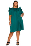 L I V D Women's Plus Size Zaya Pleated Swing Dress