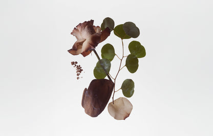 Bravo Sierra Smoked Orris Body Fragrance 3.4oz